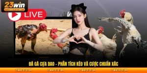Đá Gà Cựa Dao – Phân Tích Kèo Và Cược Chuẩn Xác