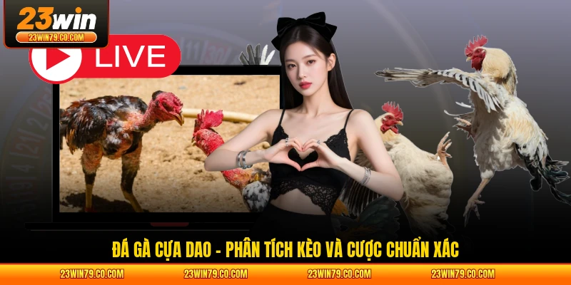 Đá Gà Cựa Dao – Phân Tích Kèo Và Cược Chuẩn Xác